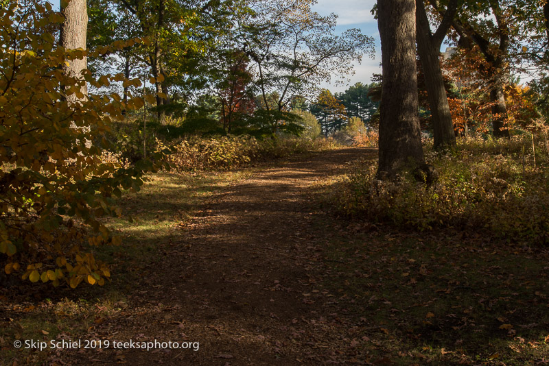 Arboretum-Boston_DSC5300