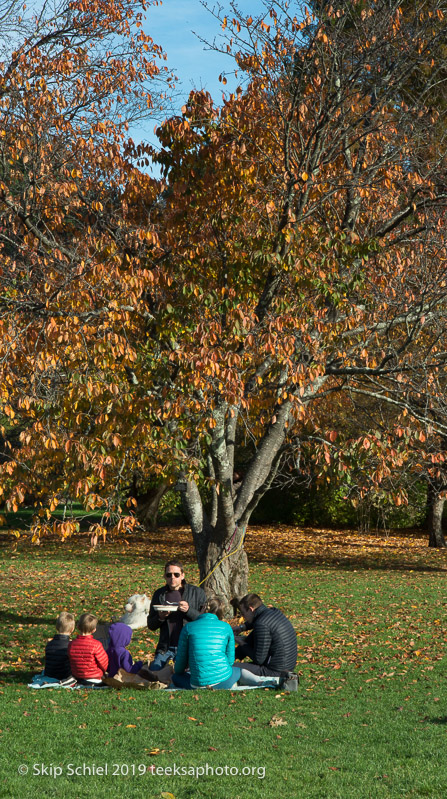 Arboretum-Boston_DSC5304