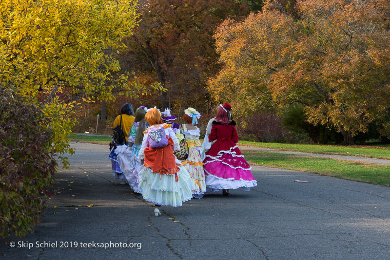 Arboretum-Boston_DSC5306