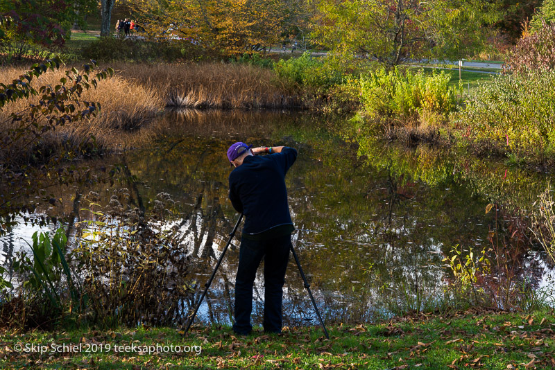 Arboretum-Boston_DSC5310