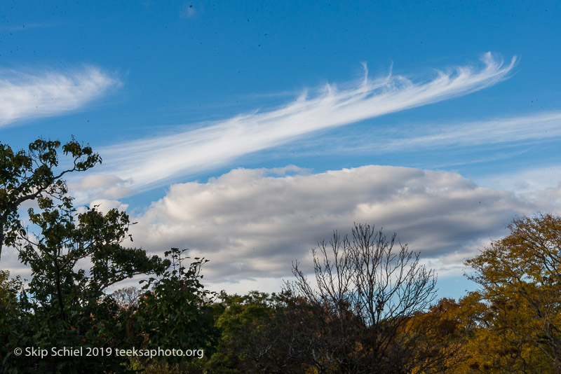 Arboretum-Boston_DSC5312