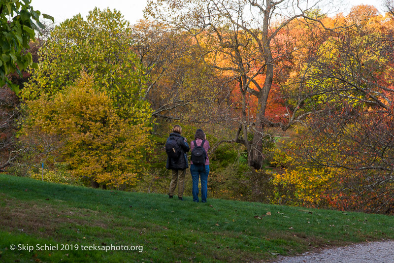 Arboretum-Boston_DSC5340