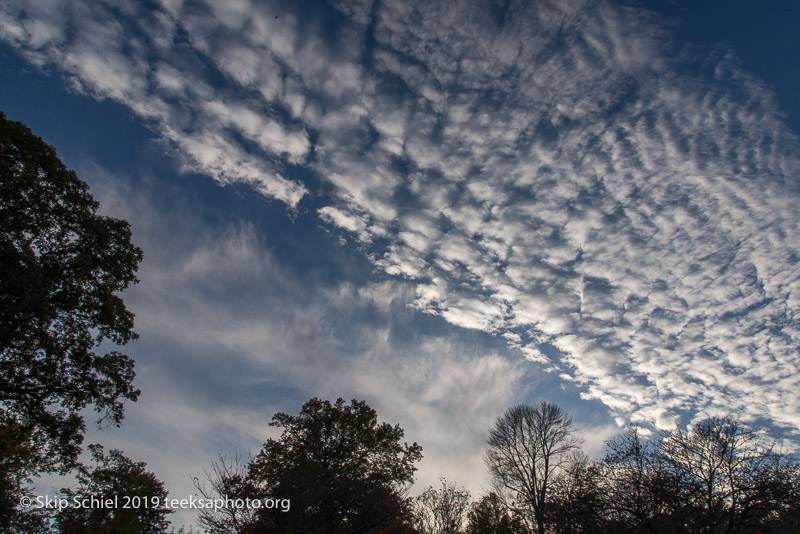 Arboretum-Boston_DSC5347