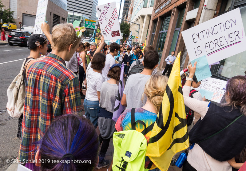 Extinction Rebellion-Brazil-rainforest-Boston-IMG_0210