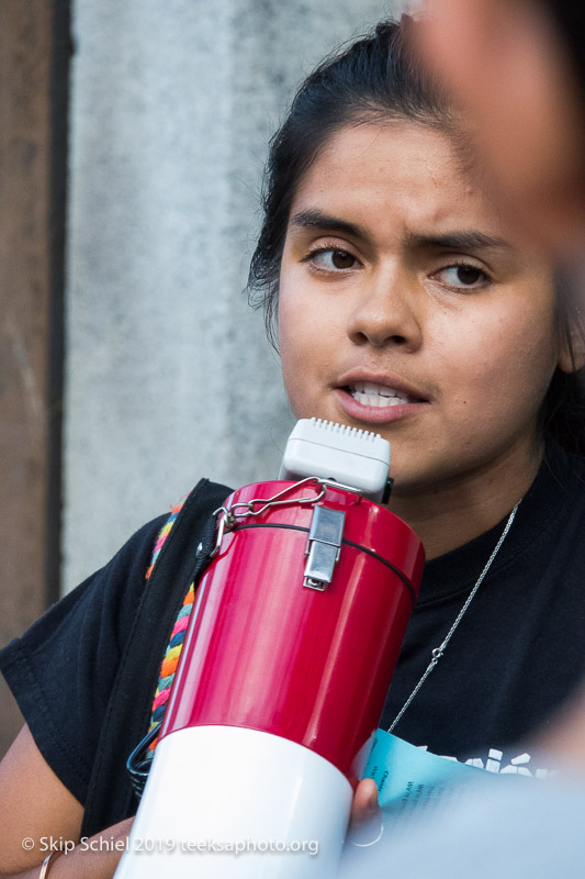 Extinction Rebellion-Brazil-rainforest-Boston-IMG_0215