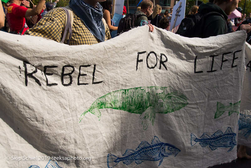 Extinction Rebellion-Honk-_DSC5122