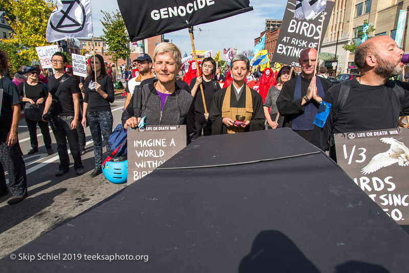 Extinction Rebellion-Honk-_DSC5155