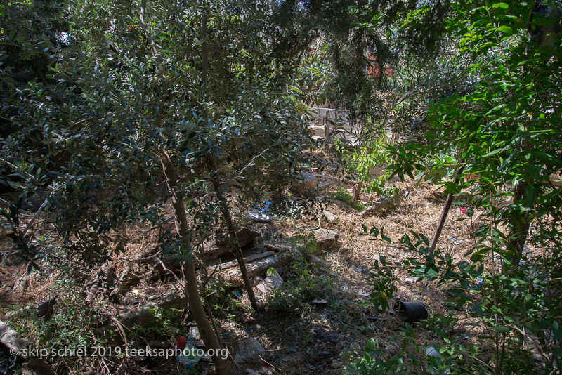 Palestine-Israel-refugees-Dheisheh-_DSC2652