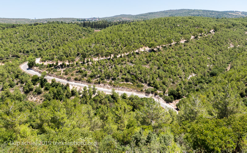 Ein Hawd-Hod-Palestine-Israel-IMG_5816