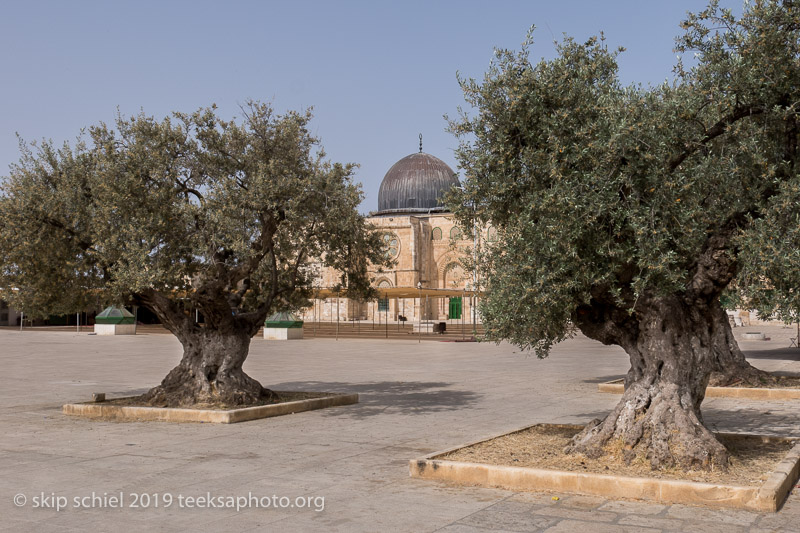 Palestine-Israel-Jerusalem-Old CityIMG_4789