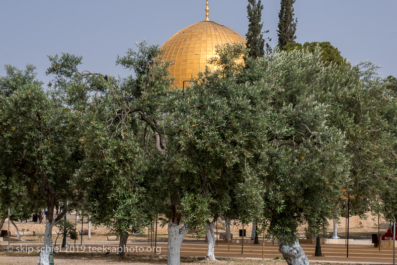 Palestine-Israel-Jerusalem-Old CityIMG_4792