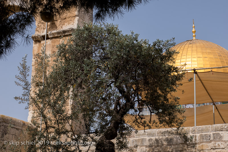 Palestine-Israel-Jerusalem-Old CityIMG_4802