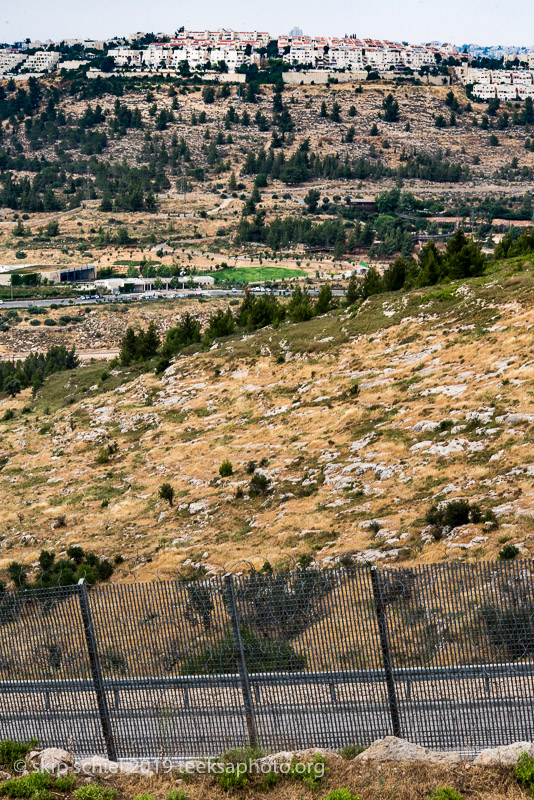 Palestine-Al Walaja-Omar Hajhajleh-_DSC2250