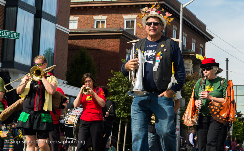 Honk parade-Cambridge-Street band_DSC4952