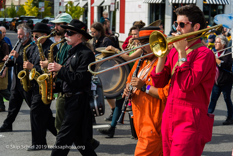 Honk parade-Cambridge-Street band_DSC4962