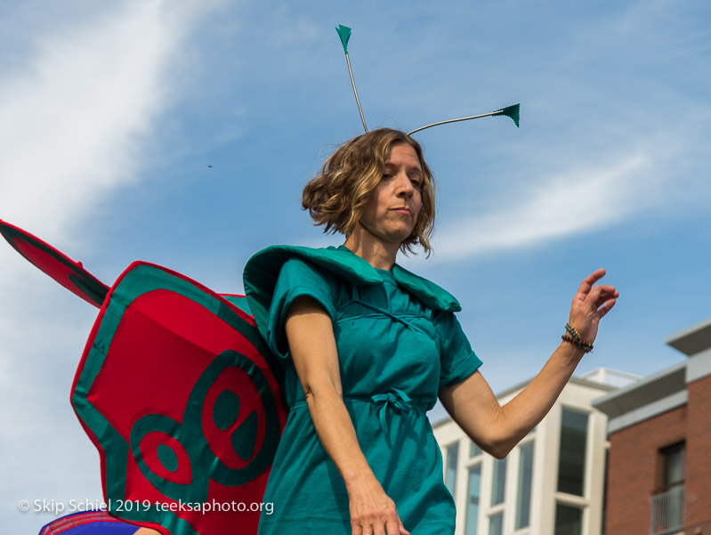 Honk parade-Cambridge-Street band_DSC5019