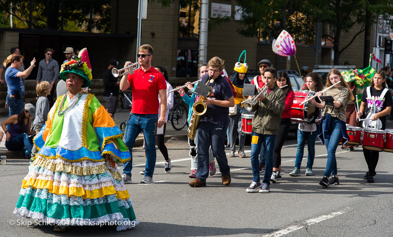 Honk parade-Cambridge-Street band_DSC5061