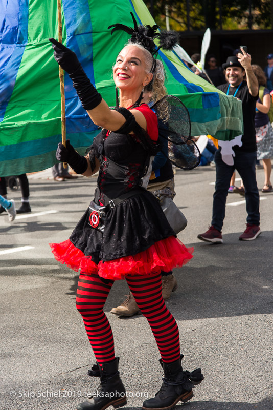 Honk parade-Cambridge-Street band_DSC5065