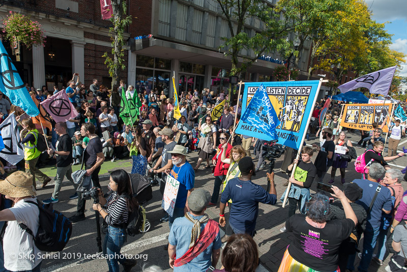 Honk parade-Cambridge-Street band_DSC5231