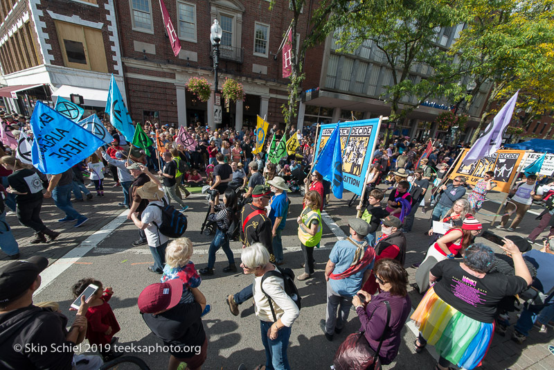 Honk parade-Cambridge-Street band_DSC5234