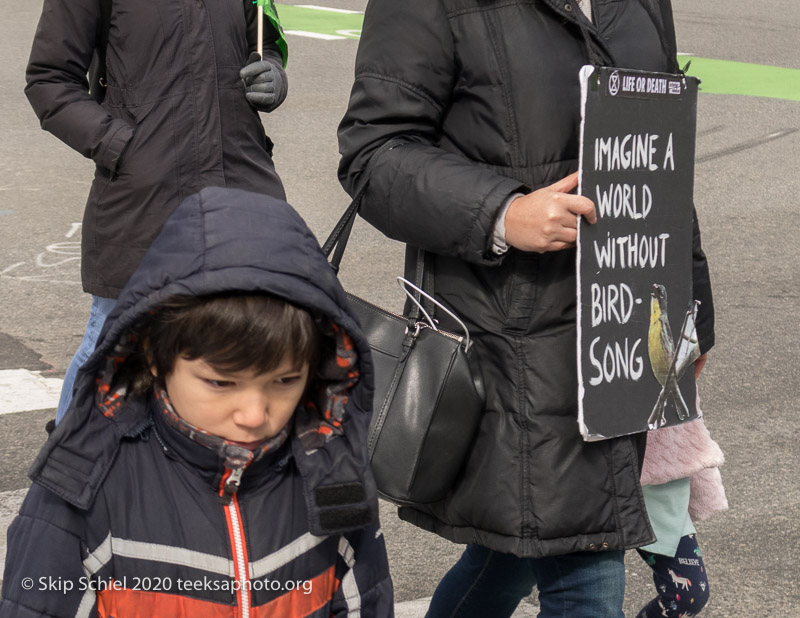 Extinction Rebellion-Cambridge Swarm-IMG_2567