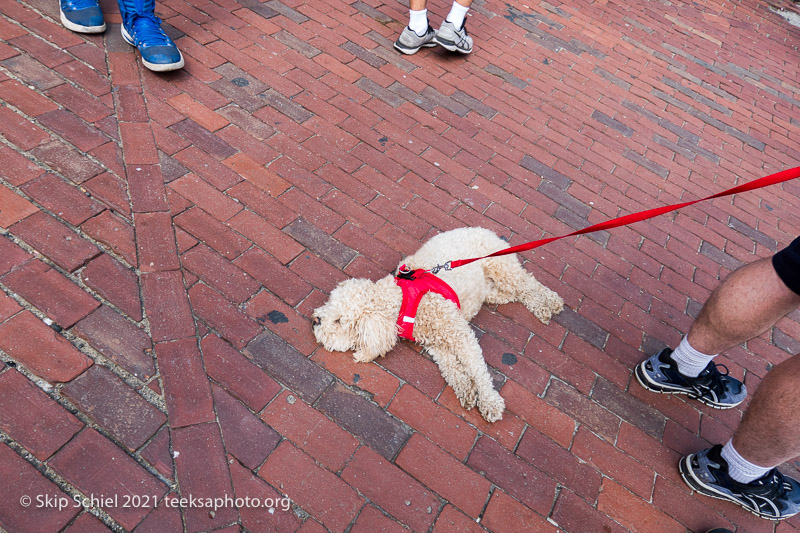 Rally-March-Boston-SJP-Skip Schiel Copyright-IMG_7223