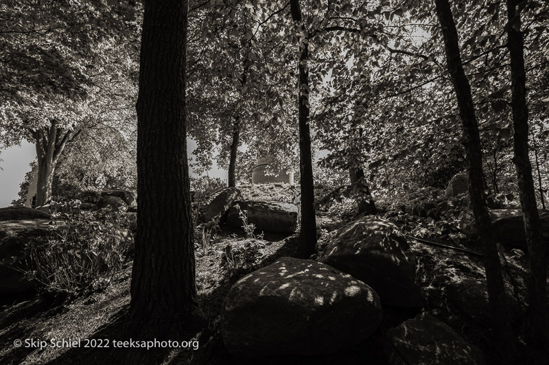 Mt Auburn Cemetery-Skip Schiel-Teeksa_SST2075