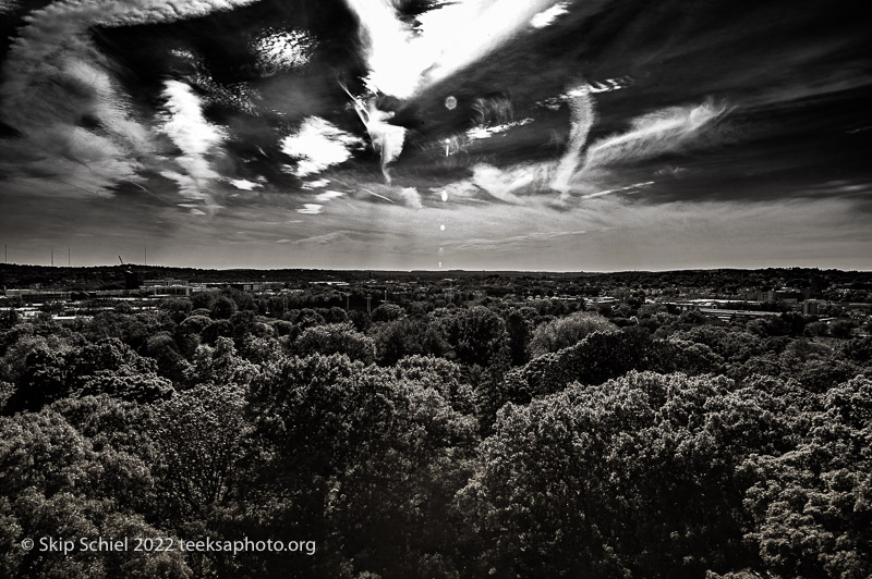 Mt Auburn Cemetery-Skip Schiel-Teeksa_SST2086