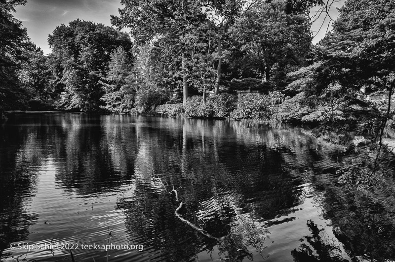 Mt Auburn Cemetery-Skip Schiel-Teeksa_SST2104-Edit