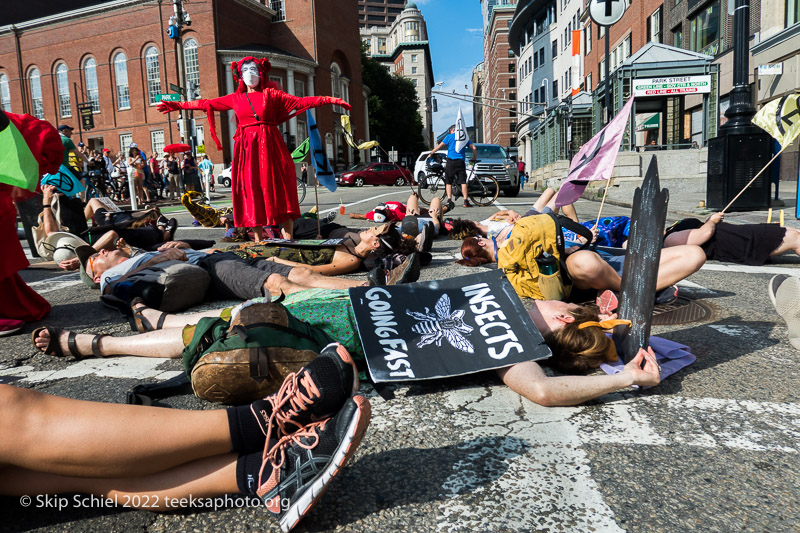 XR-Extinction Rebellion-Boston-Teeksa-Schiel_IMG_0524