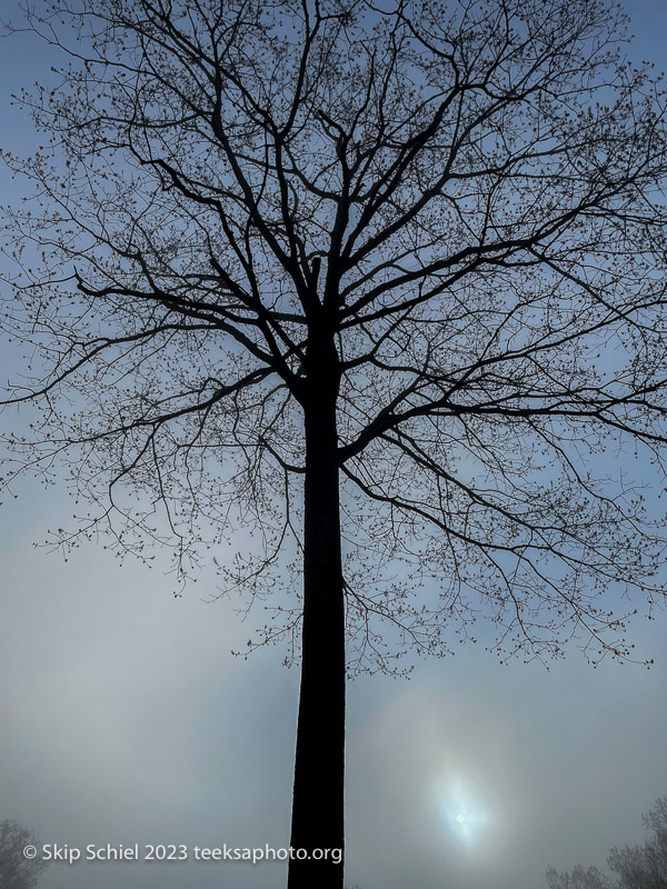 Quabbin-Agape-Teeksa_IMG_8450