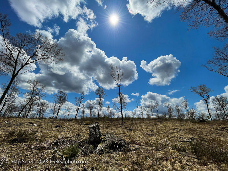 Quabbin-Agape-Teeksa_IMG_8461