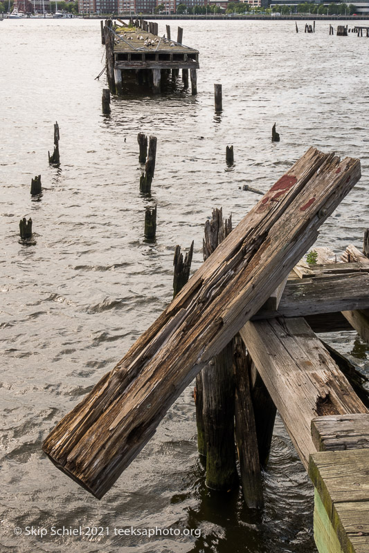 Teeksa-Deer Island-Mystic River-Skip Schiel_IMG_7804