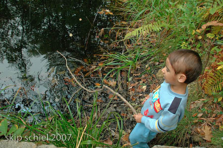 Omar Kader at the frog pond