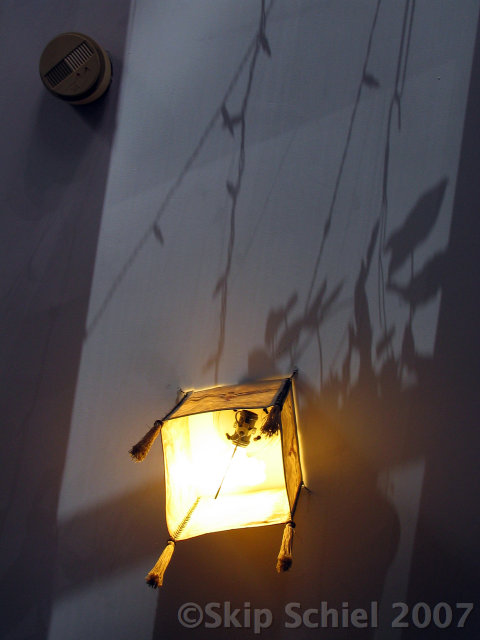 CeilingLampShadow0423.jpg